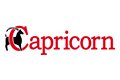 logo-capricorn